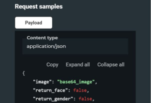 AI API documentation for developers - AIGEN