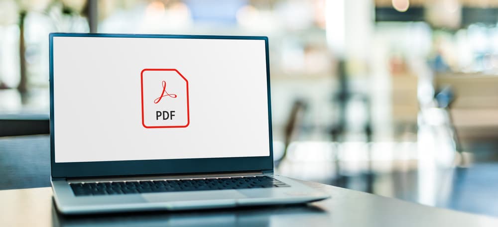ไฟล์ PDF มีกี่ประเภท